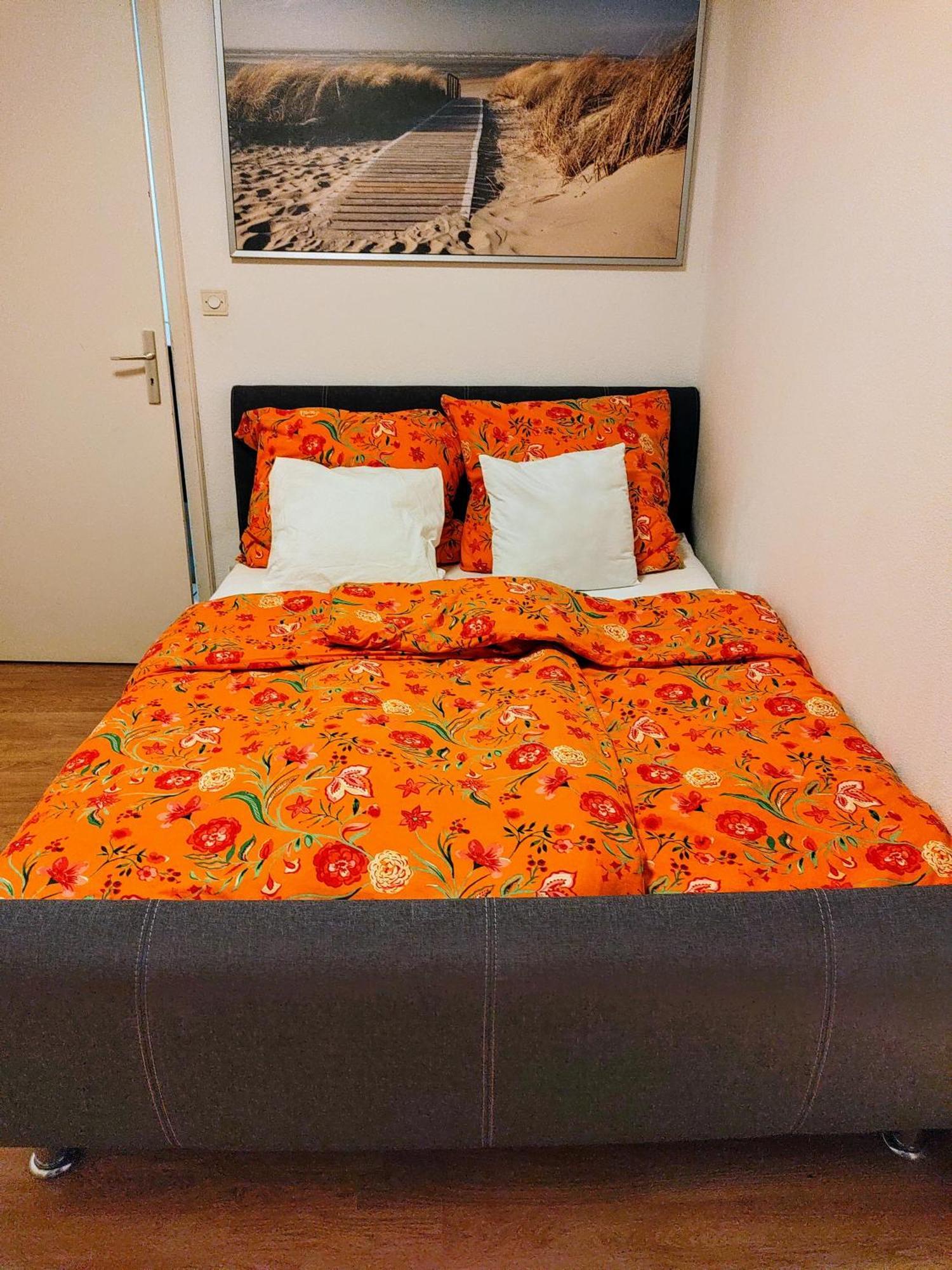 Appartement T3 Proche De Bale *